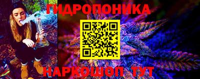 шишки Обь