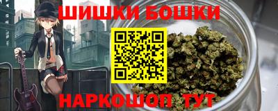 шишки Обь