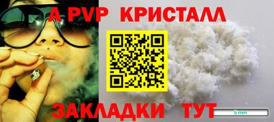 шишки Обь