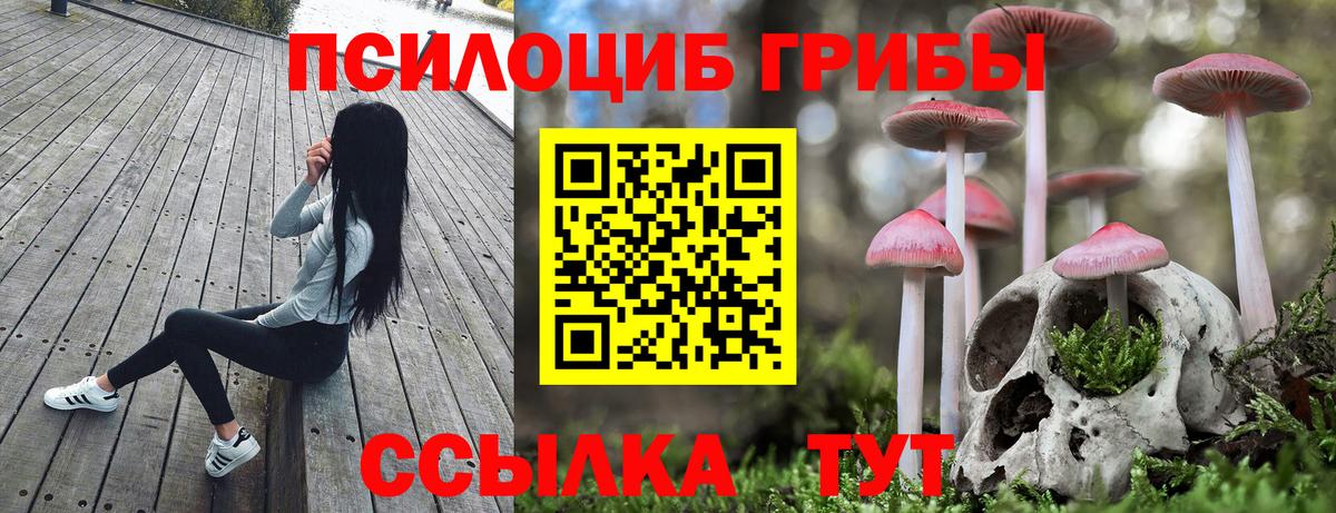 Свободный  Псилоцибиновые грибы мицелий  Вход с VPN 