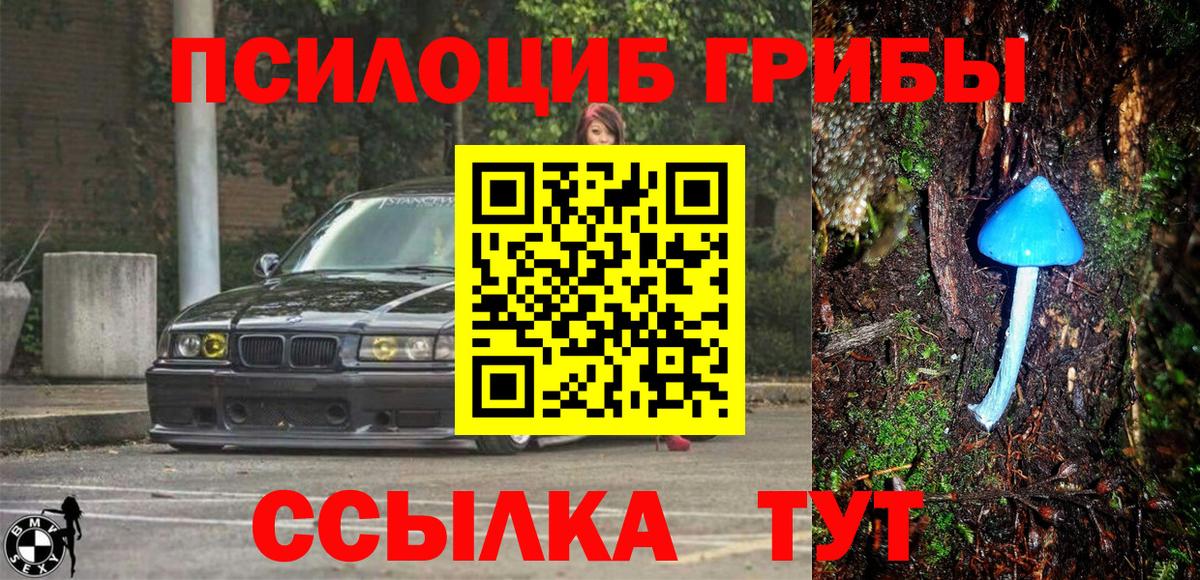 Псилоцибиновые грибы мицелий Свободный